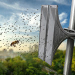 ¿Cómo pueden dañar los insectos su sistema de alerta?