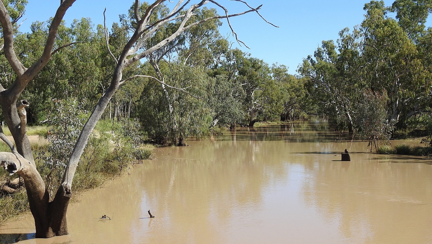 Las mayores inundaciones en Australia en los últimos 50 años